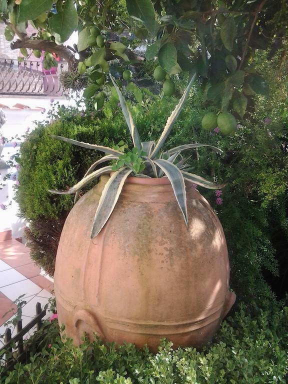B&B Angelide Anacapri  Ngoại thất bức ảnh